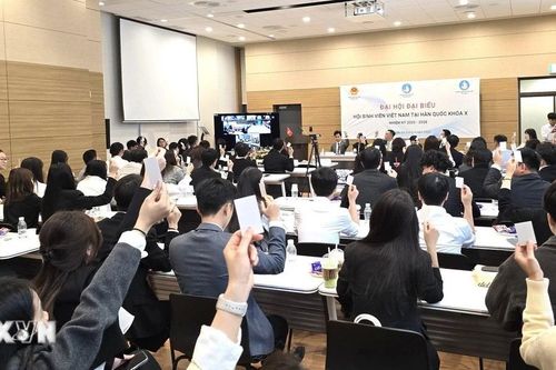 Công dân Việt Nam chiếm hơn 1/3 tổng số sinh viên quốc tế tại Hàn Quốc
