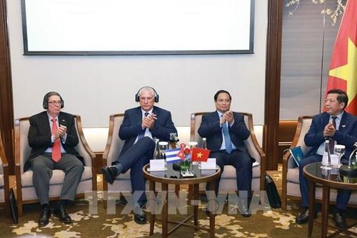 Tiềm năng hợp tác giữa Việt Nam – Cuba còn rất lớn