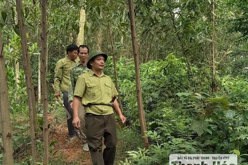 Người giữ rừng thầm lặng