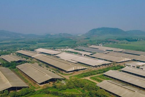 Nghệ An tăng tốc phát triển các dự án năng lượng xanh