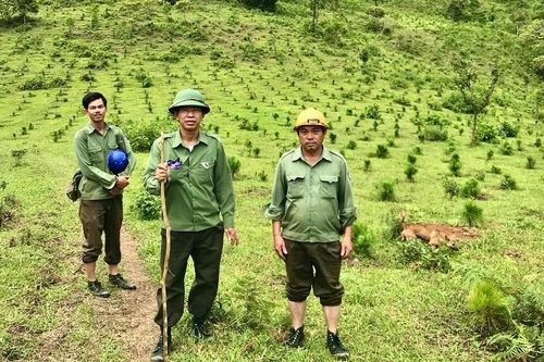 Thủ lĩnh giữ rừng Hà Ra
