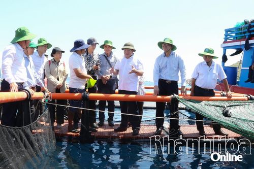 Vươn khơi nuôi biển - Kỳ 1: Thúc đẩy phát triển nuôi biển công nghệ cao