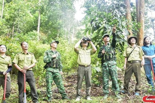 Theo những bước chân tuần rừng