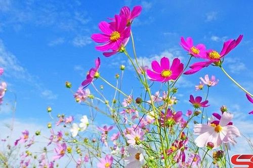 Khúc tráng ca vang mãi mỗi thu về