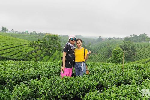 Về La Bằng nghe chè 'kể chuyện'