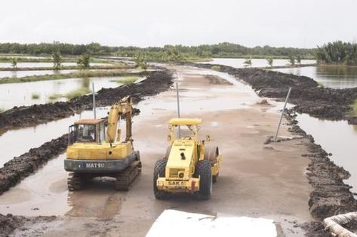 Cà Mau: Sớm gỡ vướng mặt bằng, đưa ĐT979 về đích đúng tiến độ