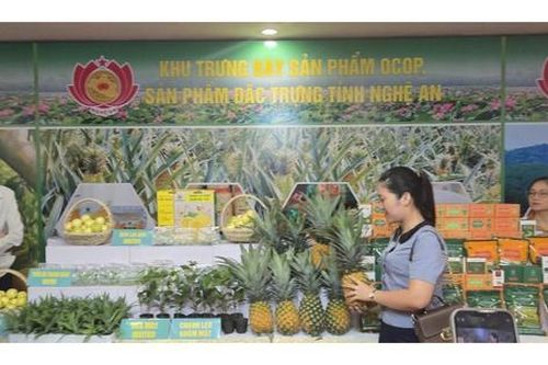 Xây dựng nông thôn mới tại Nghệ An: Đưa sản phẩm OCOP vươn xa