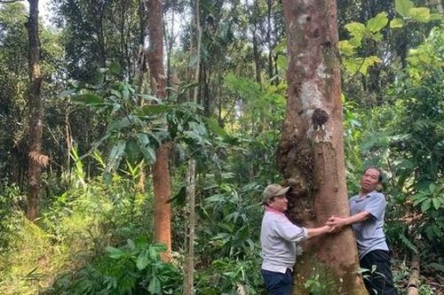 Cải thiện sinh kế cho người dân Trà Tân từ kinh tế xanh và bền vững