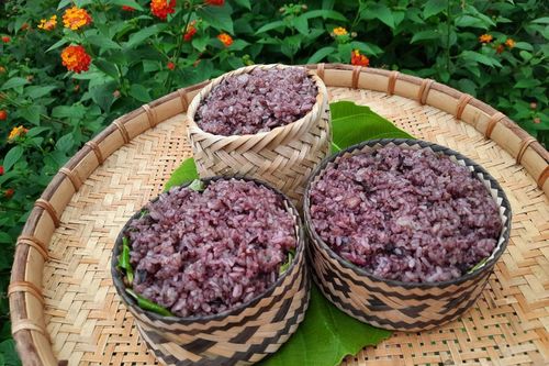 Quả trám - thực phẩm và vị thuốc quý