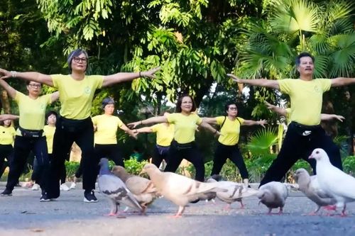 Chào ngày mới với khí công