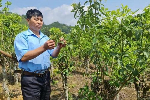 Tấm gương sáng học và làm theo Bác