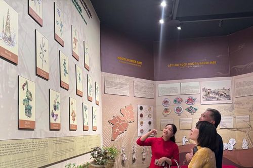 TP Hồ Chí Minh: Trưng bày 'Ẩm thực Nam bộ thời kháng chiến'