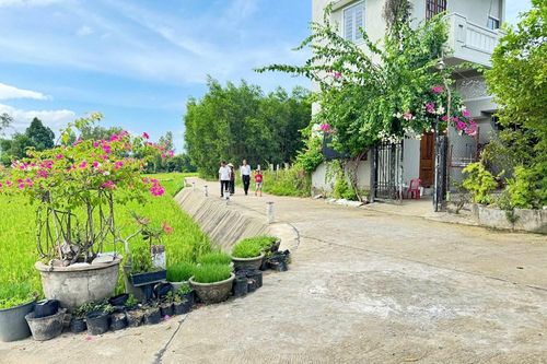 Chi bộ mạnh từ sự đoàn kết và đồng thuận