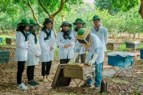 OCOP mật ong: Từ chuẩn hóa sản xuất đến mở rộng thị trường