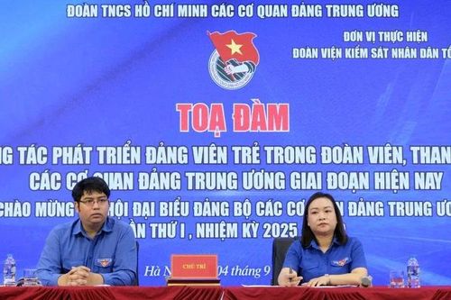 Phát triển đảng viên trẻ theo hướng thường xuyên, bài bản và lâu dài