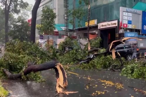 TPHCM tăng cường xử lý sự cố hạ tầng kỹ thuật trong mùa mưa bão