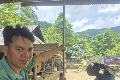 Truy tìm đàn sói hoang ở Điện Biên: Bài 1 - Đòn tấn công đặc trưng của loài sói