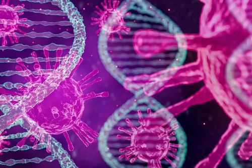 Hy vọng điều trị ung thư nhờ 'virus ẩn' trong DNA người
