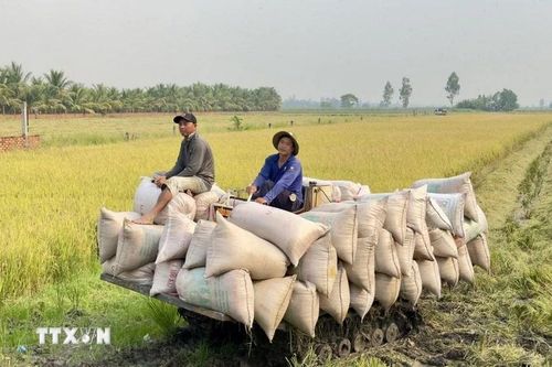 Thứ trưởng Phùng Đức Tiến: Nông nghiệp Việt Nam sẽ có giai đoạn phát triển vượt bậc