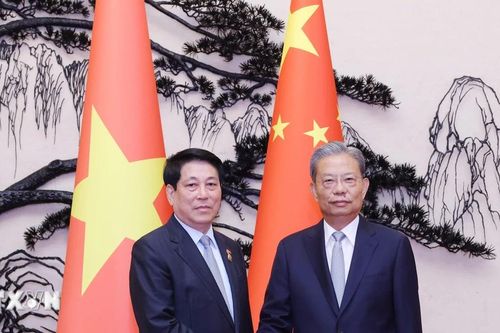 Đề nghị hai Đảng, hai nước Việt Nam-Trung Quốc tăng cường đoàn kết, hợp tác