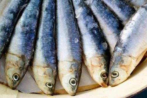 Loại cá dễ gây ung thư bậc nhất, nhiều người không biết vẫn ăn hàng ngày