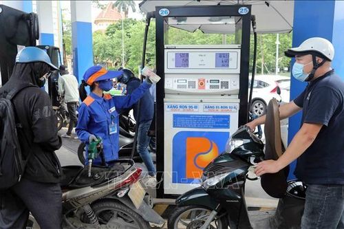 Petrolimex giải trình về việc lợi nhuận sụt giảm