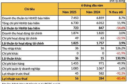 Chi phí tăng vọt, lợi nhuận một DN bảo hiểm lớn giảm hơn 90% trong nửa đầu năm