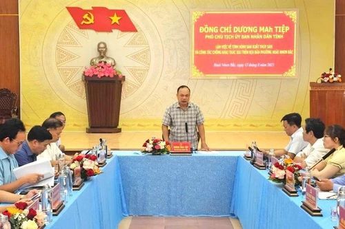 Hoài Nhơn Bắc quyết liệt chống khai thác hải sản bất hợp pháp
