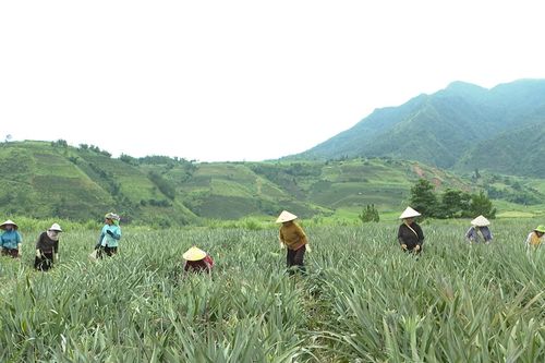 Đưa Nghị quyết Đại hội vào cuộc sống