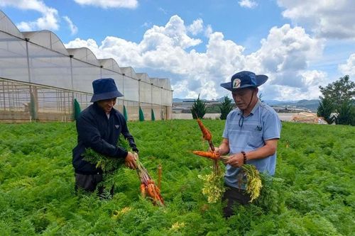 7 năm điều chế dung dịch phân bón lá