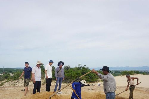 Hé lộ những bí ẩn trong lòng cát