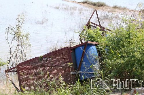Cần vực lại nghề nuôi cá lồng ở Vân Phú
