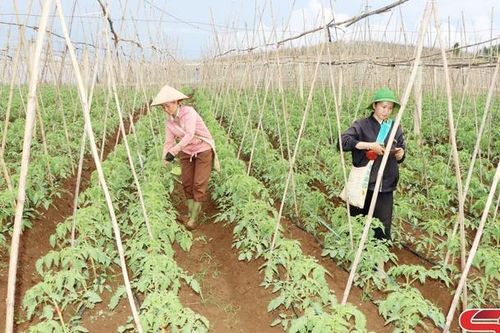 Phát huy nội lực xây dựng xã phát triển