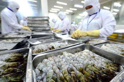 Thực phẩm Sao Ta (FMC): Doanh số tháng 8/2025 tăng 32%, đã đủ đơn hàng tới cuối năm