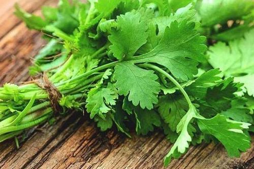 Rau mùi với 8 lợi ích sức khỏe, 5 tác hại và những lưu ý khi sử dụng