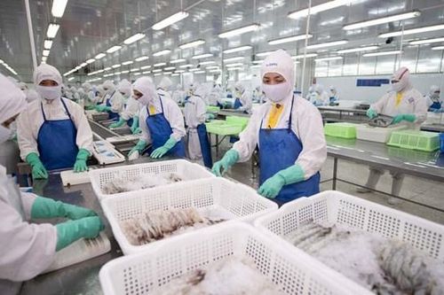 Thực phẩm Sao Ta (FMC) báo doanh thu tháng 8 tăng 32%