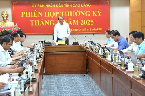 Phiên họp thường kỳ UBND tỉnh tháng 8/2025