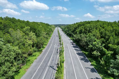 TP.HCM chỉ đạo liên quan đề xuất làm đường sắt đô thị của các doanh nghiệp lớn