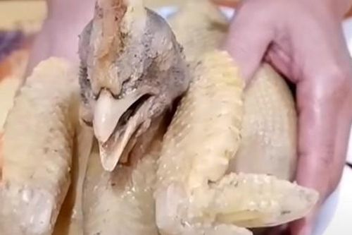 Gà luộc là món không thể thiếu trong mâm cỗ cúng Rằm tháng 7, cách luộc gà ngon và đẹp để thắp hương