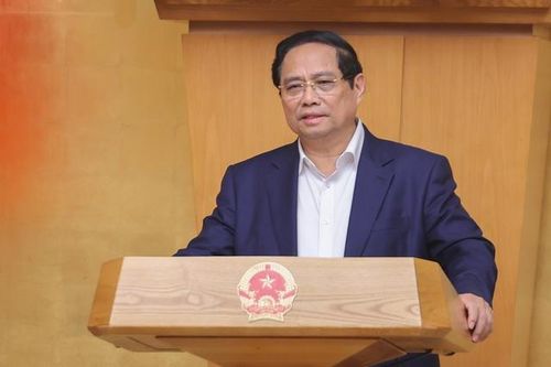 Chính phủ xem xét, cho ý kiến về dự án Luật Phòng bệnh, Luật Dân số (sửa đổi)
