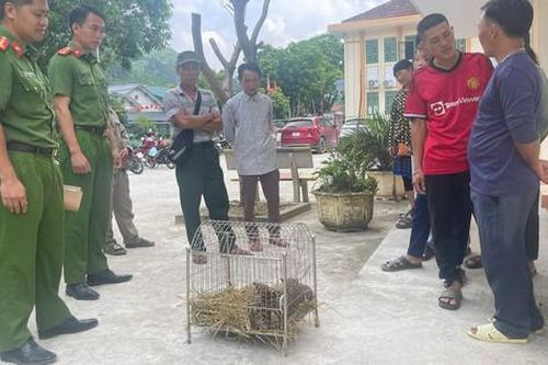 Đi làm nương, phát hiện động vật quý hiếm trong bao tải vứt ven đường