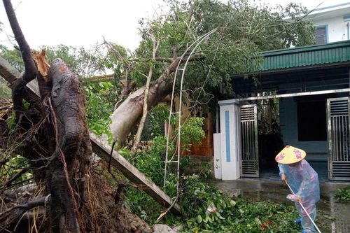 Bão Kajiki gây thiệt hại gần 2.900 tỷ đồng