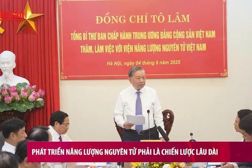 Phát triển năng lượng nguyên tử phải là chiến lược lâu dài, toàn diện