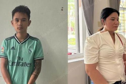 Khởi tố 2 'đầu nậu' tiêu thụ sâm Ngọc Linh trộm cắp
