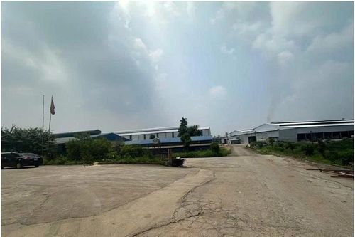 Hợp tác xã ở Phú Thọ bị phạt 320 triệu đồng do vi phạm quy định về môi trường