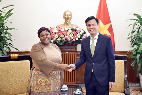 Việt Nam coi bình đẳng giới là trọng tâm trong chiến lược phát triển