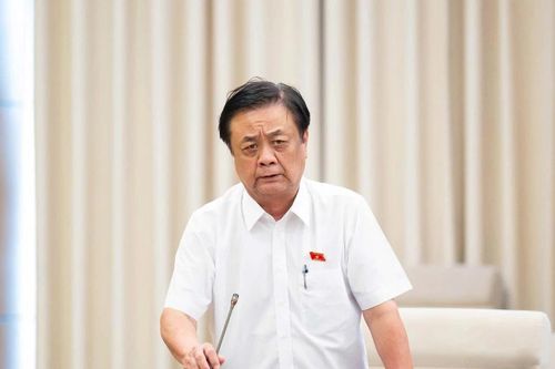 Không nơi nào trên thế giới có 'việc nhẹ lương cao', tại sao nhiều người vẫn bị lừa?