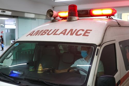 Cấp cứu vì uống hoa đu đủ đực ngâm mật ong nâng cao sức khỏe
