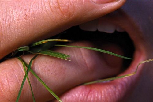 Hơn 1 phút đầu tiên ngập cảnh nóng nghẹt thở của phim 'Đồi gió hú'