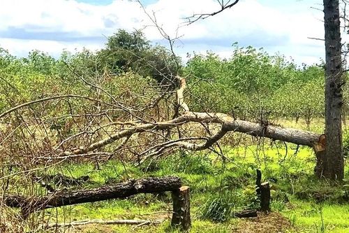 Đắk Lắk khai trừ khỏi Đảng 6 cán bộ có nhiều sai phạm